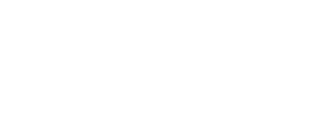 DRENIZ Outline